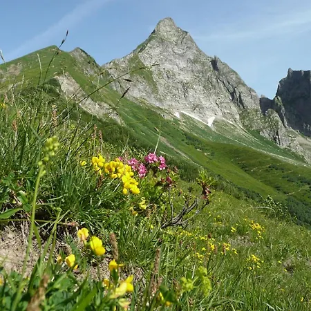 Апартаменты Edelweiss Hoernerbahnen Von Mai Bis Oktober Frei