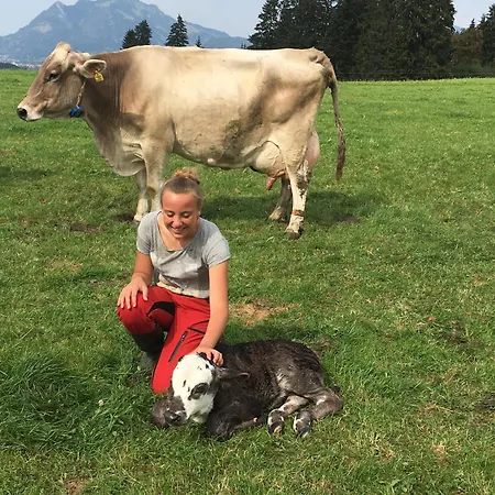 Edelweiss Hoernerbahnen Von Mai Bis Oktober Frei Obermaiselstein