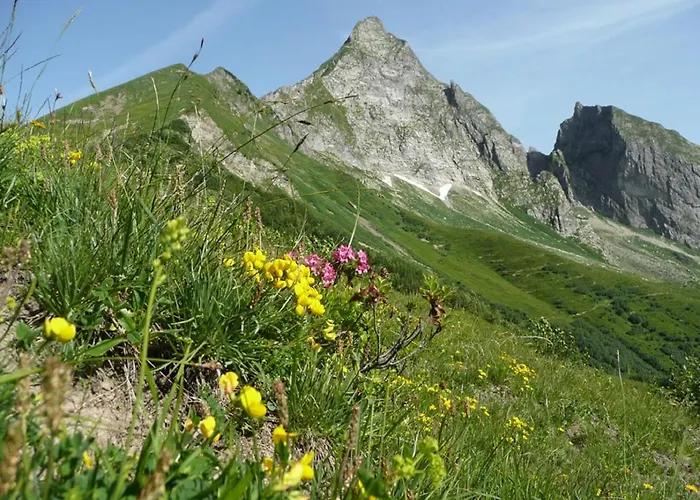 Appartement Edelweiss Hoernerbahnen Von Mai Bis Oktober Frei